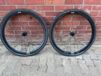 Rose RC Thirty Disc 28“ Laufradsatz Nordrhein-Westfalen - Vreden Vorschau