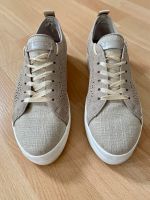 U.S Polo ASSN Sneaker Schuhe Gr. 38 Niedersachsen - Garbsen Vorschau