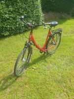 Fahrrad Rot Damen Nordrhein-Westfalen - Detmold Vorschau