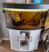 Juwel Aquarium 150l +co2 Anlage Niedersachsen - Amt Neuhaus Vorschau