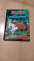 Kinderbuch Bibi & Tina Hexerei und Pferdespaß Sachsen - Chemnitz Vorschau