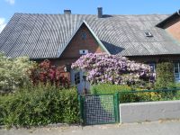 Ferienwohnung in Schleswig-Holstein, Nähe NOK, Naturpark Aukrug Schleswig-Holstein - Hohenwestedt Vorschau