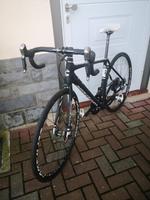 Cannondale Synapse Carbon Ultegra DI2 Herzogtum Lauenburg - Sandesneben Vorschau