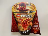 OVP neu Ninjago Spinjitzu Kai Lego 70659 Stuttgart - Bad Cannstatt Vorschau