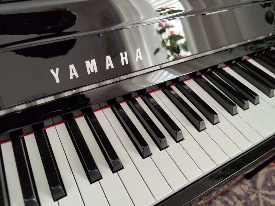 Elektronisches Klavier Avant Grand NU1X von Yamaha neuwertig in Dresden