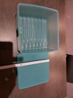 Frischebox Klima Kühlschrank Tupperware Saarland - Tholey Vorschau