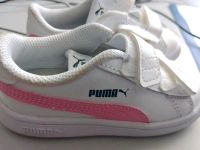 Puma Turnschuhe 24 Baden-Württemberg - Öhringen Vorschau