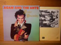 Schallplatte Vinyl LP - Adam and the ants - Prince charming Bayern - Böhmfeld Vorschau