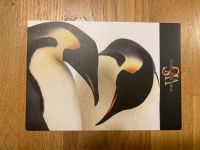 Postkarte Pinguin Antarktis Bayern - Alzenau Vorschau
