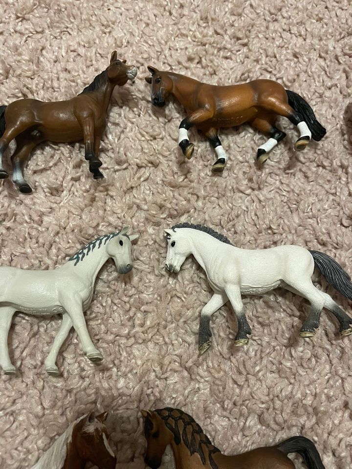 Schleich Pferde Pony Fohlen Set in Kerpen