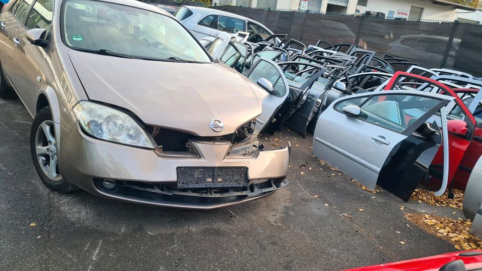 Nissan Primera P12 Fahrertür Beifahrertür Tür Kotflügel in Gevelsberg