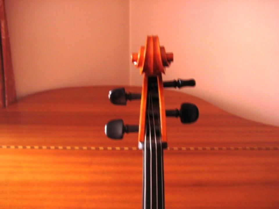 MEISTER-CELLO MIT ZETTEL / GRÖßE 4/4 BAUJAHR 1979, BOLOGNA in Hollenstedt