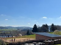 Pensionsplatz; Offenstallplatz für Wallach in der Vulkaneifel Bonn - Bonn-Zentrum Vorschau