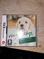 Nintendo 3DS Spiel Nintendogs Niedersachsen - Schellerten Vorschau