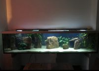 Aquarium 2,50mx60x60 Bielefeld - Sennestadt Vorschau