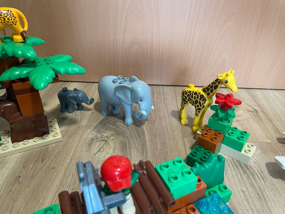 Lego Duplo Safari, Rarität in Battenberg