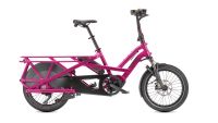 TERN GSD S10 pink NEU Sofort verfügbar mit Shimano UVP 6199€ Hessen - Bad Nauheim Vorschau