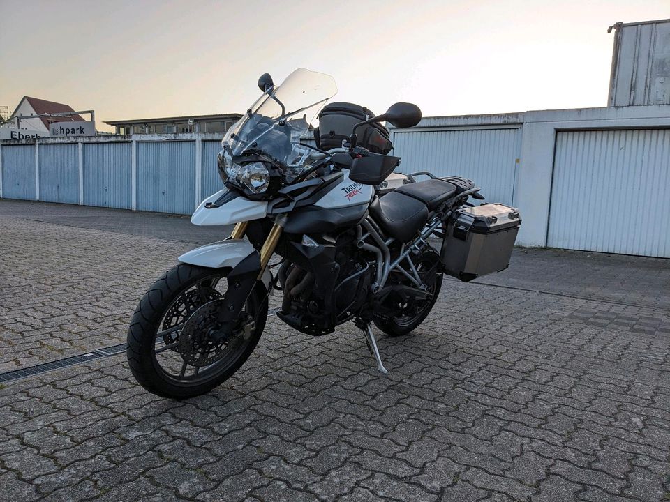 Triumph Tiger 800 in Bruchsal