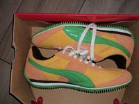 Puma Sneakers Speeder Mesh 2    Größe 41,5  NEU Thüringen - Artern/Unstrut Vorschau