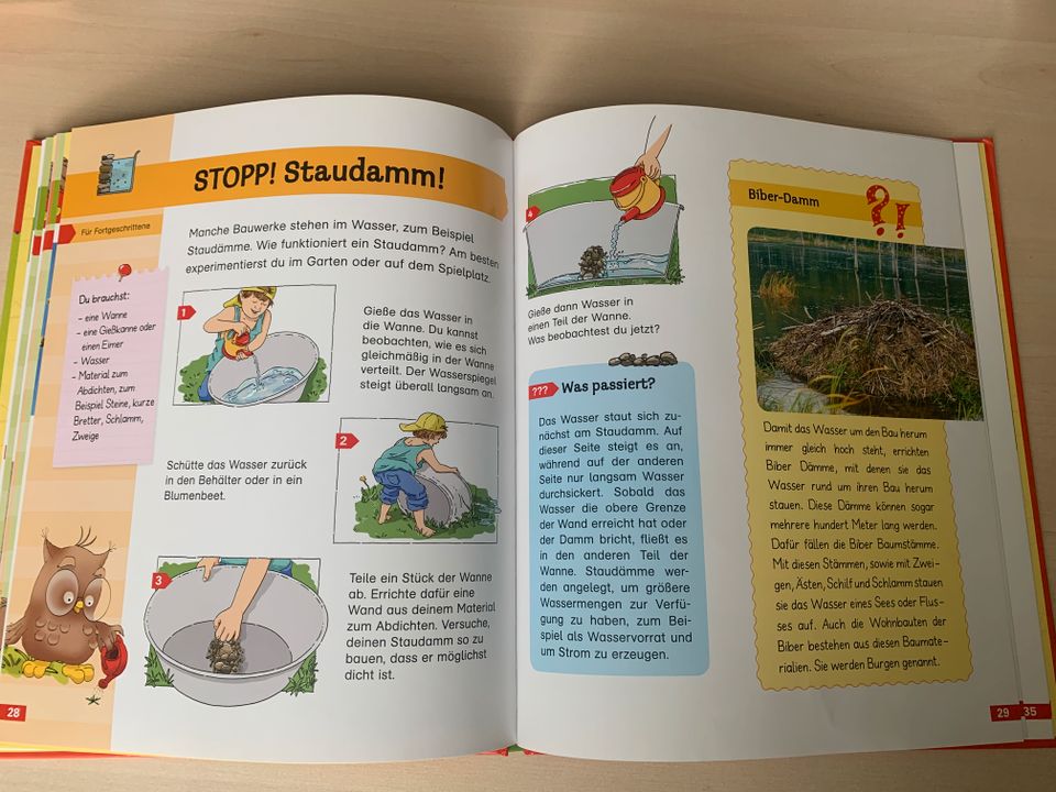 Kinderbuch Richtig Schlau Experimente rund ums Bauen wie neu ab 4 in Lüdinghausen