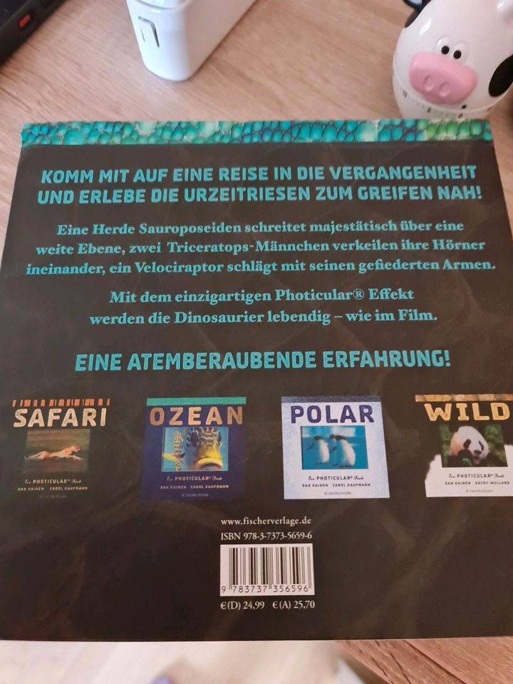 Dinosaurier 3 D Buch Sauerländer Verlag ⚠️Top in Münster