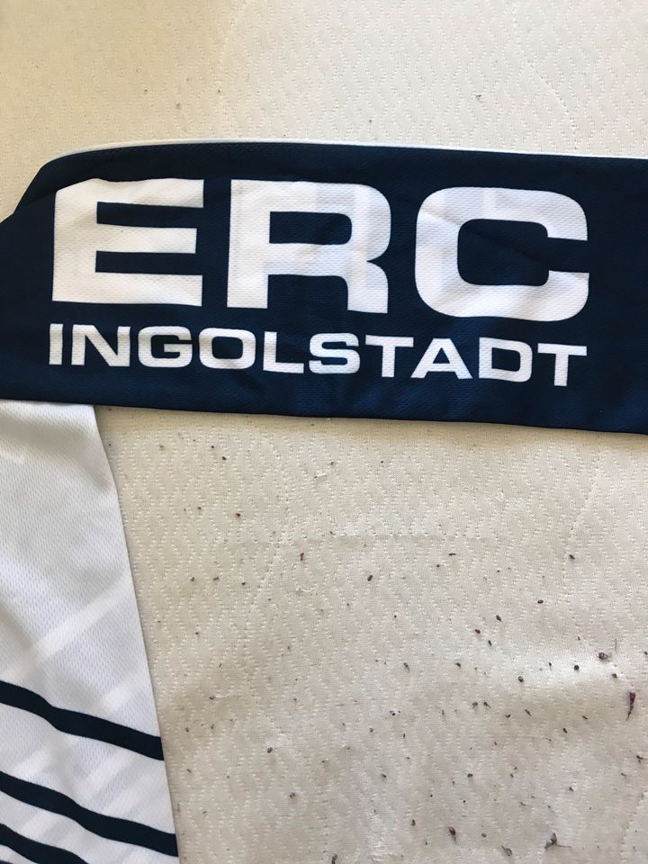 ERC Ingolstadt Fanschal in Ingolstadt