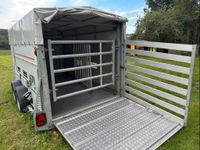 Viehanhänger Rindertransport Vieh Anhänger Transporter mieten Rheinland-Pfalz - Hochspeyer Vorschau