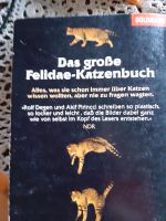Buch Katzensinne  und Katzenkrimi Schleswig-Holstein - Elmshorn Vorschau