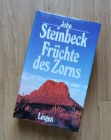 Buch John Steinbeck Früchte des Zorns Lingen Verlag 511 Seiten Bayern - Ingolstadt Vorschau