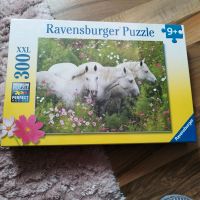 300xxl  Puzzle von Ravensburger Sachsen-Anhalt - Hohenwarsleben Vorschau