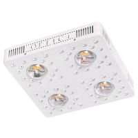 Optic4 Gen3; 405 W Full Spectrum LED Growlight I LED Pflanzlampe Berlin - Pankow Vorschau