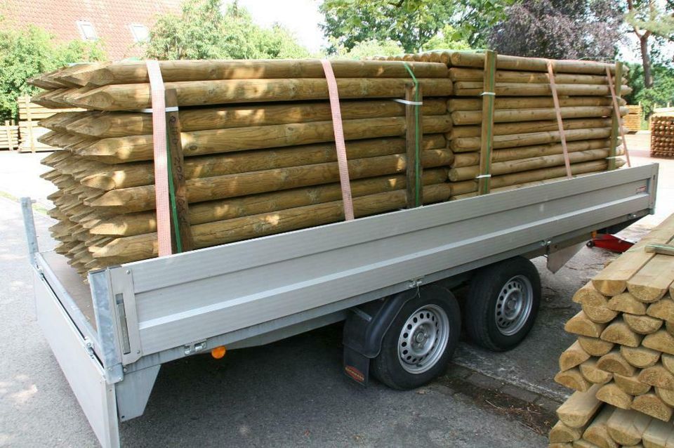 Zaunpfähle - Baumpfähle - Holzpfähle - 10 x 200 cm - imprägniert in Wagenfeld