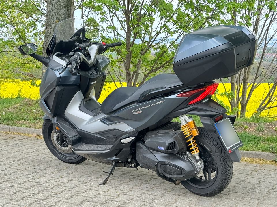 Motorroller Honda Forza 350 (NSS350A) 2023 - mit Öhlins in Freital