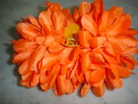 Karneval Verkleidung große Blume Spange Orange Neu Nordrhein-Westfalen - Sankt Augustin Vorschau