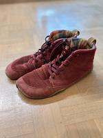 Wildling Rubus Gr. 40 Bayern - Augsburg Vorschau
