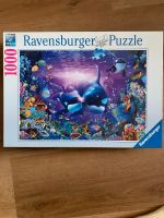Puzzle Ravensburger 1000 Teile Düsseldorf - Pempelfort Vorschau
