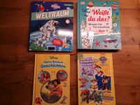 Kinderbücher (Disney, Weltraum, Lexikon Vorschule, Paw Patrol) Bayern - Ingolstadt Vorschau