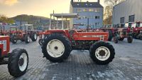 Firma SHAM MACHINERY sucht für den Export Massey Ferguson Wuppertal - Heckinghausen Vorschau