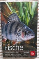 NEU❗blv Verl./FISCHE - Süßwasserfische sowie Arten der Nord/stsee Thüringen - Worbis Vorschau