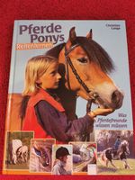 Kinderbuch "Pferde Ponys Reitenlernen" Bayern - Mintraching Vorschau