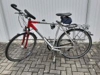 Herrenfahrrad Pegasus Zoll 28 - St Premio Baden-Württemberg - Nußloch Vorschau