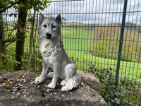 Wolf Deko Hundefigur Gartenfigur Rheinland-Pfalz - Waldbreitbach Vorschau