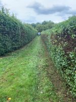 Hecke schneiden in Flintbek und Umgebung Schleswig-Holstein - Flintbek Vorschau