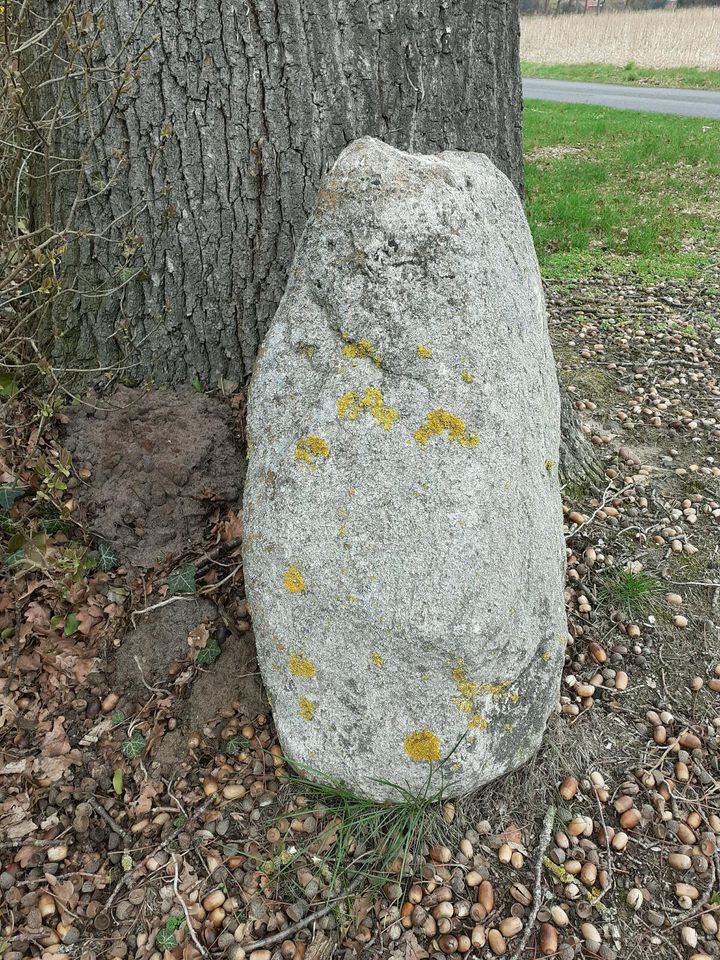 Findlinge Gartenstein Feldstein Naturstein in Rahden