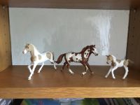 Schleich Painthorse Familie Bayern - Tirschenreuth Vorschau