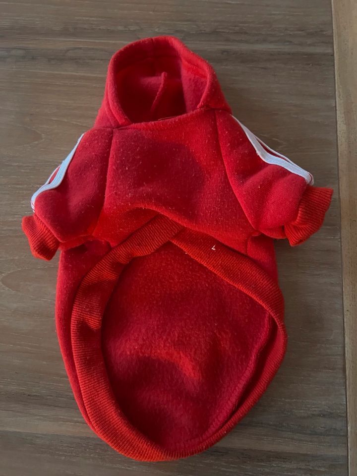 Hunde Mantel Jacke Welpe klein adidog, usw in Jüchen