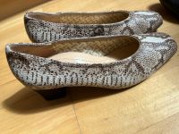 Absatzschuhe Fasan Schlangenoptik Gr. 40 Nordrhein-Westfalen - Attendorn Vorschau