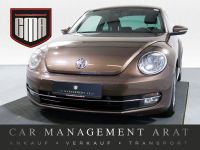 Volkswagen Beetle 1.6 TDI Design SITZH+PDC+R17+TEMP Hamburg-Mitte - Hamburg Billstedt   Vorschau