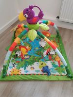 Fisher Price Dschungel Spielebogen Nordrhein-Westfalen - Detmold Vorschau