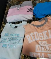 3 Pullover und 1 T-Shirt Sachsen-Anhalt - Magdeburg Vorschau